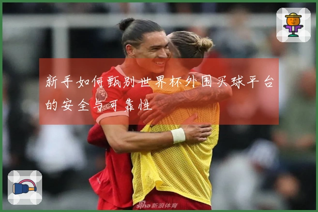 新手如何甄别世界杯外围买球平台的安全与可靠性