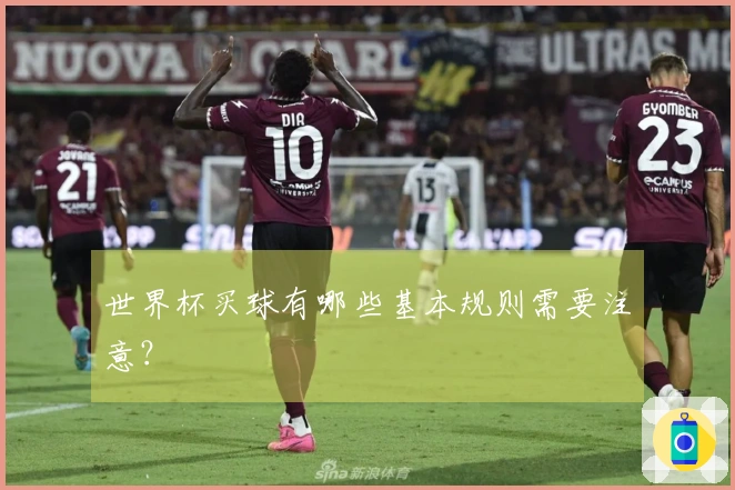 世界杯买球有哪些基本规则需要注意？