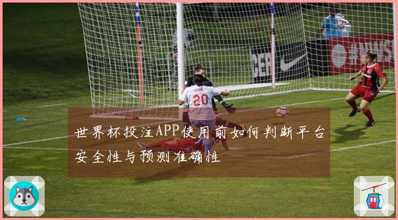 世界杯投注APP使用前如何判断平台安全性与预测准确性