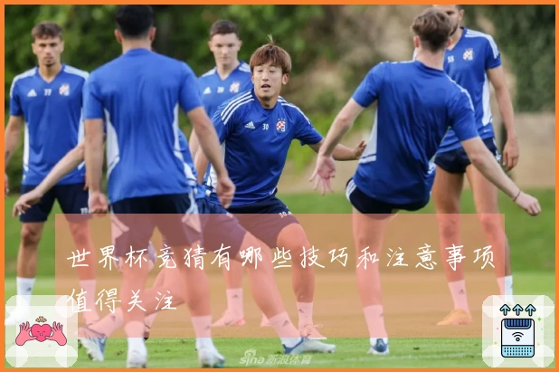 世界杯竞猜有哪些技巧和注意事项值得关注