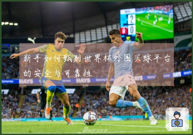 新手如何甄别世界杯外围买球平台的安全与可靠性
