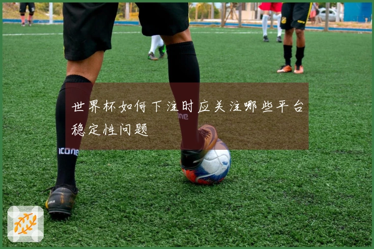 世界杯如何下注时应关注哪些平台稳定性问题