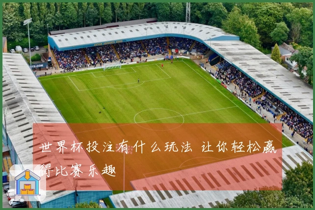 世界杯投注有什么玩法 让你轻松赢得比赛乐趣