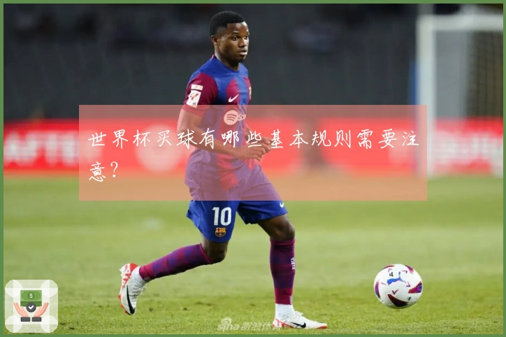 世界杯买球有哪些基本规则需要注意？